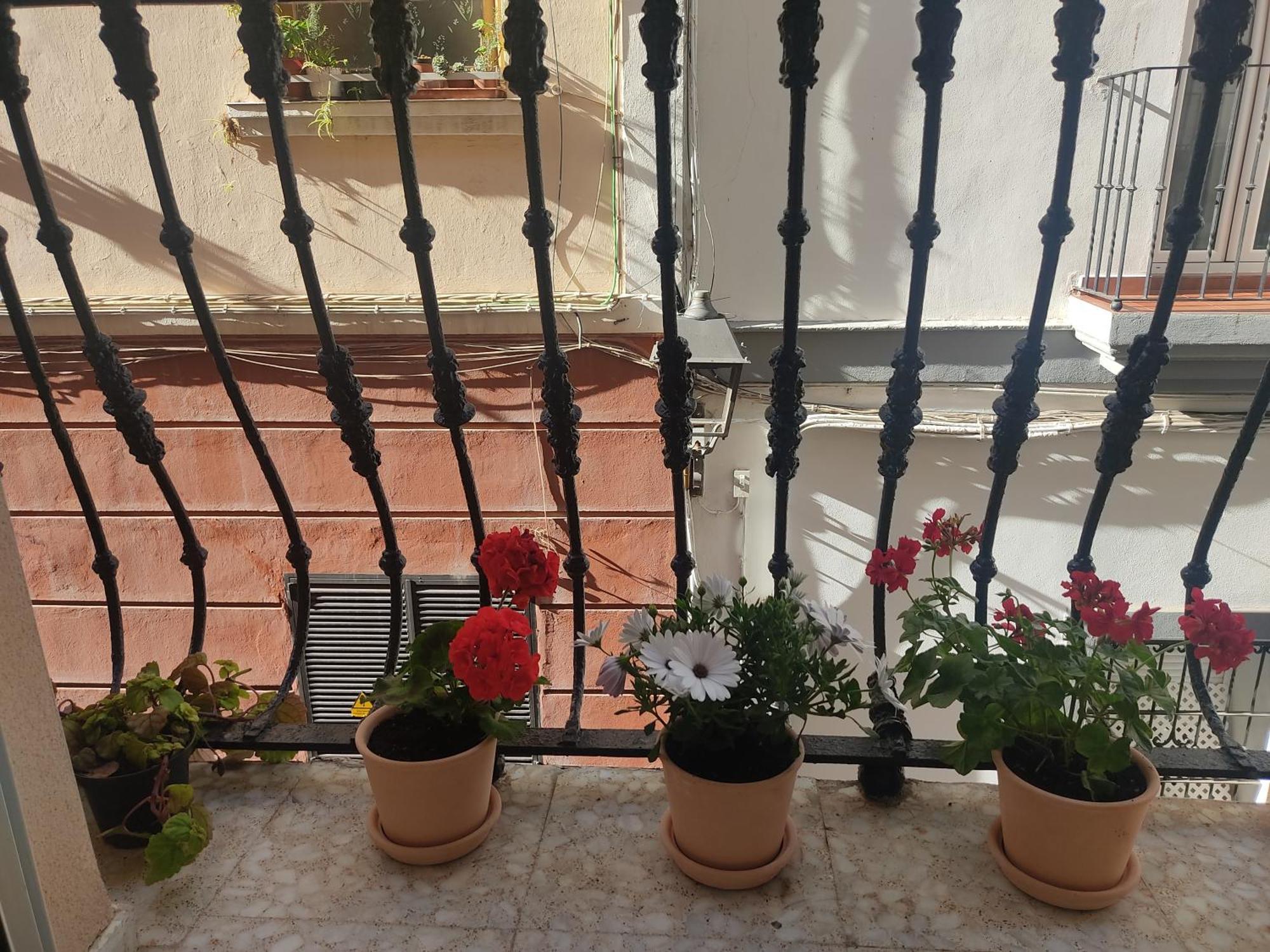 Estreno Centro Y Playa Cadiz Apartment ภายนอก รูปภาพ